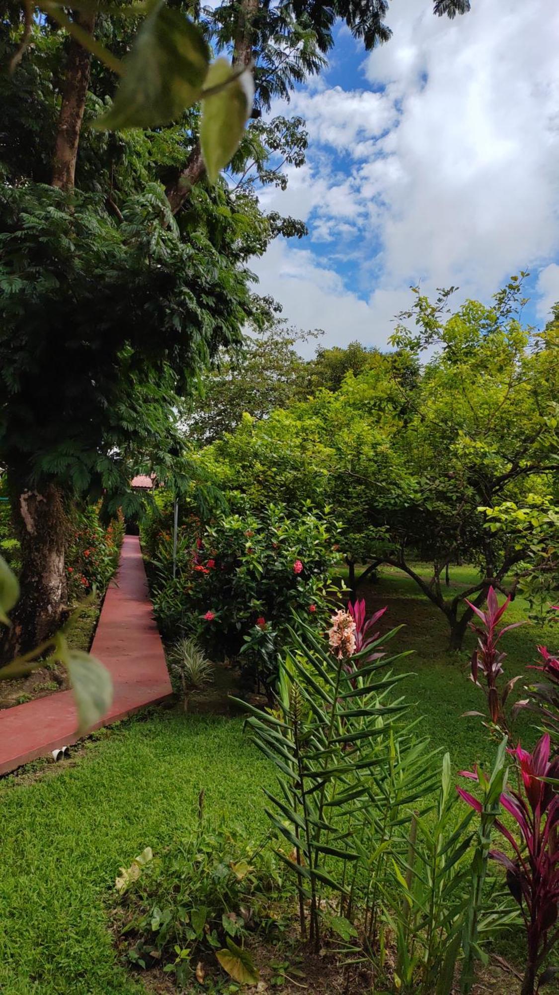 Hotel Canto De Ballenas Uvita Buitenkant foto